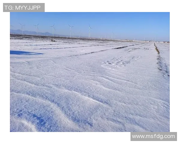 冰雪赛事赛道维护进展情况及未来计划分析与展望