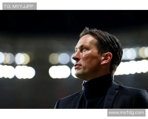 本菲卡新赛季转会动态分析引发球迷热议与期待